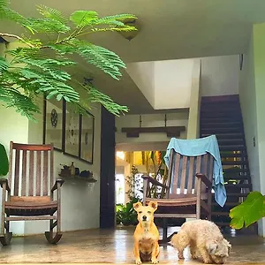 **** Hotel El Hotelito At The Rainforest Experience Farm Puerto Rico